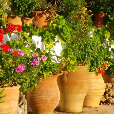 Apartment Ploimon Sitia (Crete)